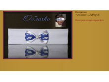 ������� ������350���.JPG