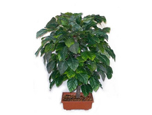 �� 60/32 (�) - 1300