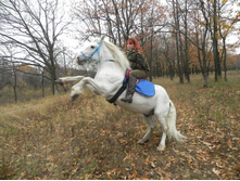 ��ң���, ������� ����