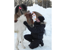 ������ ���� � ��������