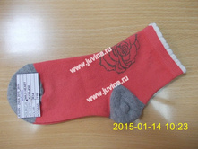 DSCN9950 (����������).jpg