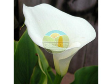 ����� ������������ 14.jpg