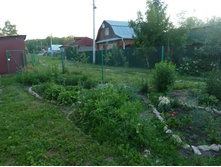 P1130265.JPG