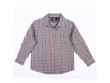 5484e9002db6b_w13-8202 250���.jpg