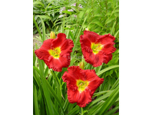 �������� ������ ��� ����� 190,8�