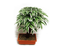 �� 40/23�(�) - 2371