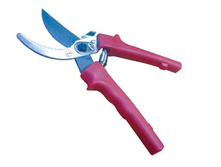 ������� ����  239�