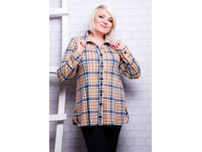 ����� CI ���� ���.jpg