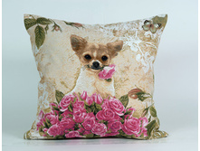 ������� � ������.jpg