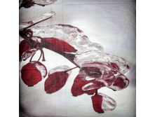 CA488X ��� 2.jpg