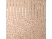 ������� ������ ��������.jpg