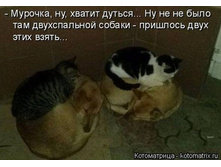 4515609_m.jpg