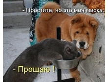 Xw9a5ncft2E.jpg