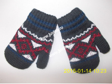 DSCN9534 (����������).jpg