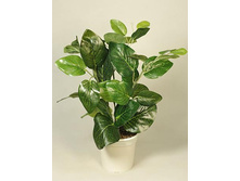 �� 25/179 - 360 - ������ 25%