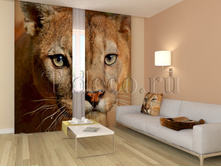 01192 �������.jpg