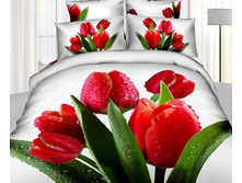 ���. TS*05-83*5