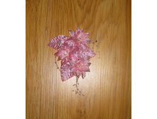 ����� ���������� ��� ����������. �� ���������� ��������. ��� 190���.