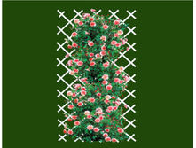 �������  ����� 190�110�� � ������� - ��������-680.jpg