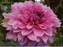 �������� �������� �������� 84�