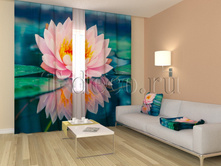 01144 ��������.jpg