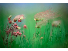 ������ ��������.jpg