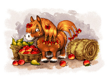 ������� (��������) (50�70).jpg