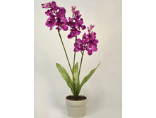 �� 70/124 - 550 ������ 25%