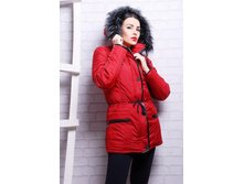 ������ SP ��������