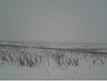 2015-01-10 14.04.17.jpg