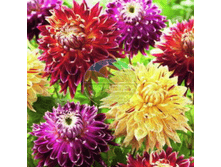 �������� ��������� �������.png