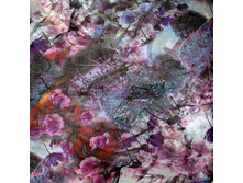 XK 01-3 ��� 3.jpg