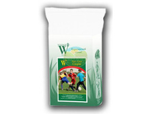 ����� Windsor ���� ���� ����� (����� 10 ��).jpg