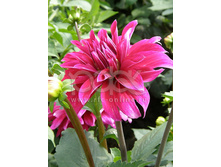 �������� ������� ����� 101,4�