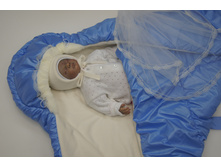 ���� ����� �������