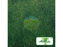 ����� Windsor ������� ���� ����������� (30 ��).jpg