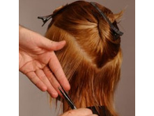 Trudy cut step 5_crop_large.jpg