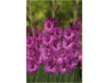 ��������� ����� 104�.jpg