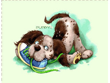 ������� (����) (50�70).jpg