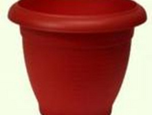 ����� (������) ����� �������, ������ �������� ���������.jpg