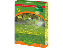 ����� Windsor ���� ���� �������� (������ 1 ��.jpg