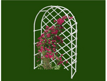 ���� �� �������� ��� ������