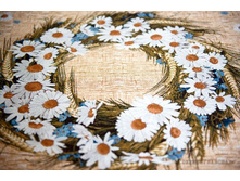 �������� ����� �������	145*140