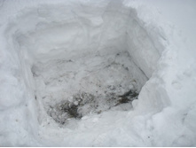 � ������� �������� ��� ����������� �������, ����� ������ ��� �������