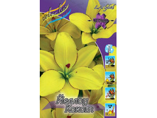 ����� ������ �����.jpg