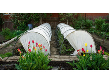 ������ ���������� 4� 500�