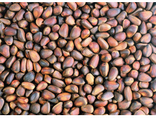 �������� ����� � ��������