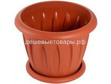 ������ ������� 22.4��3.6�. ������. 68�.jpg