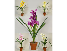 �58/122 - 555 - ������ 25%