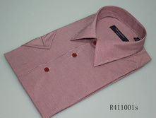 R411001s==395 ���.